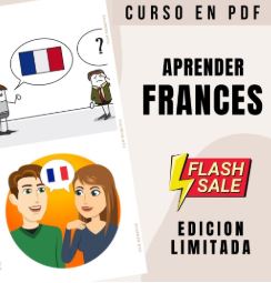 EBOOK: APRENDE FRANC�S (Gu�a Te�rico-Pr�ctica)